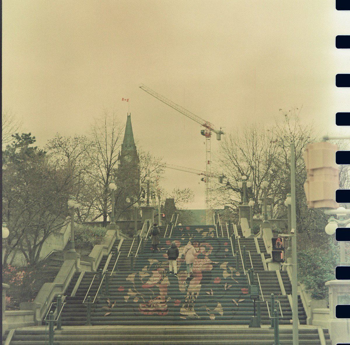 frozen_f8's tweet photo. 221/365
#project365 #believeinfilm #filmisnotdead #infilmwetrust #MamiyaC330 #Retrochrome #Retrochrome120 #myottawa https://t.co/QvggjBu7hL