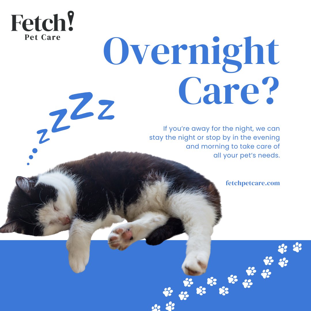 FetchPetCare's tweet photo. Schedule your nighttime care at https://t.co/qGR1VXMVRQ
#Fetch #PetCare #DogWalking #PetSitting #PetTaxi #weloveemlikeyoudo https://t.co/L3KA9uIljb
