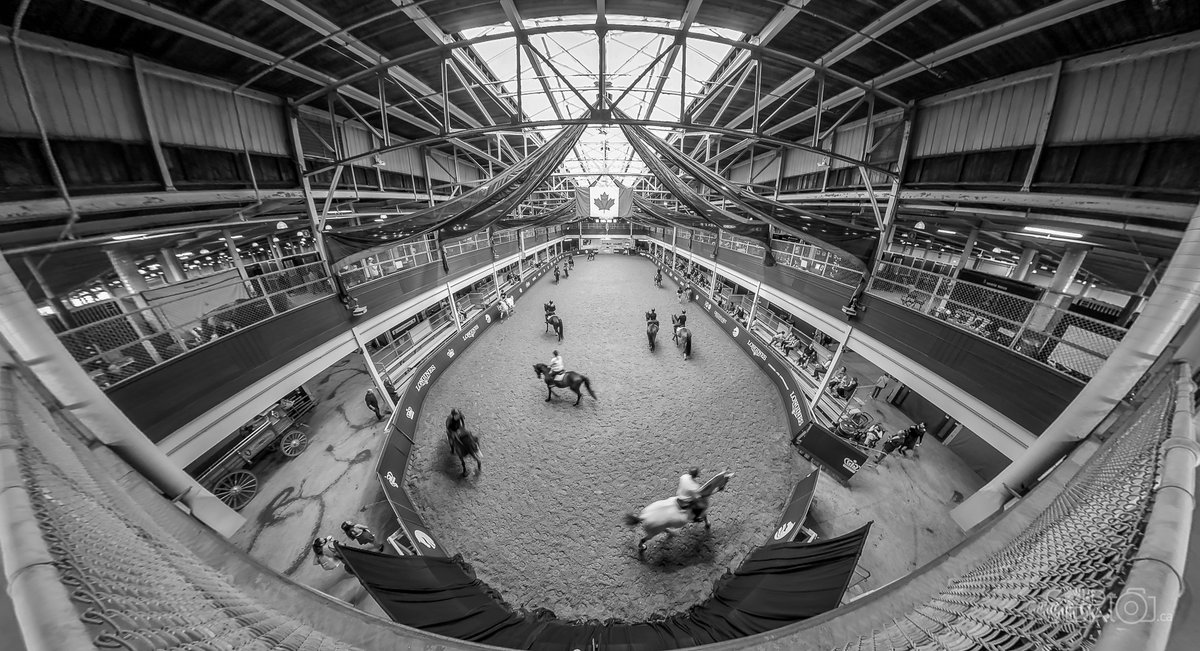 GoldMediaCa's tweet photo. 📸 Royal Agricultural Winter Fair (Toronto ON)
by Gold Media
#photo #photographer #photography #torontophotographer #torontophotography #torontophotos #gtaphotography #gtaphotographer #gtaphotos #contentcreator #contentcreation #insta360 #360photography #Royalfair https://t.co/DOwuhSKlKR