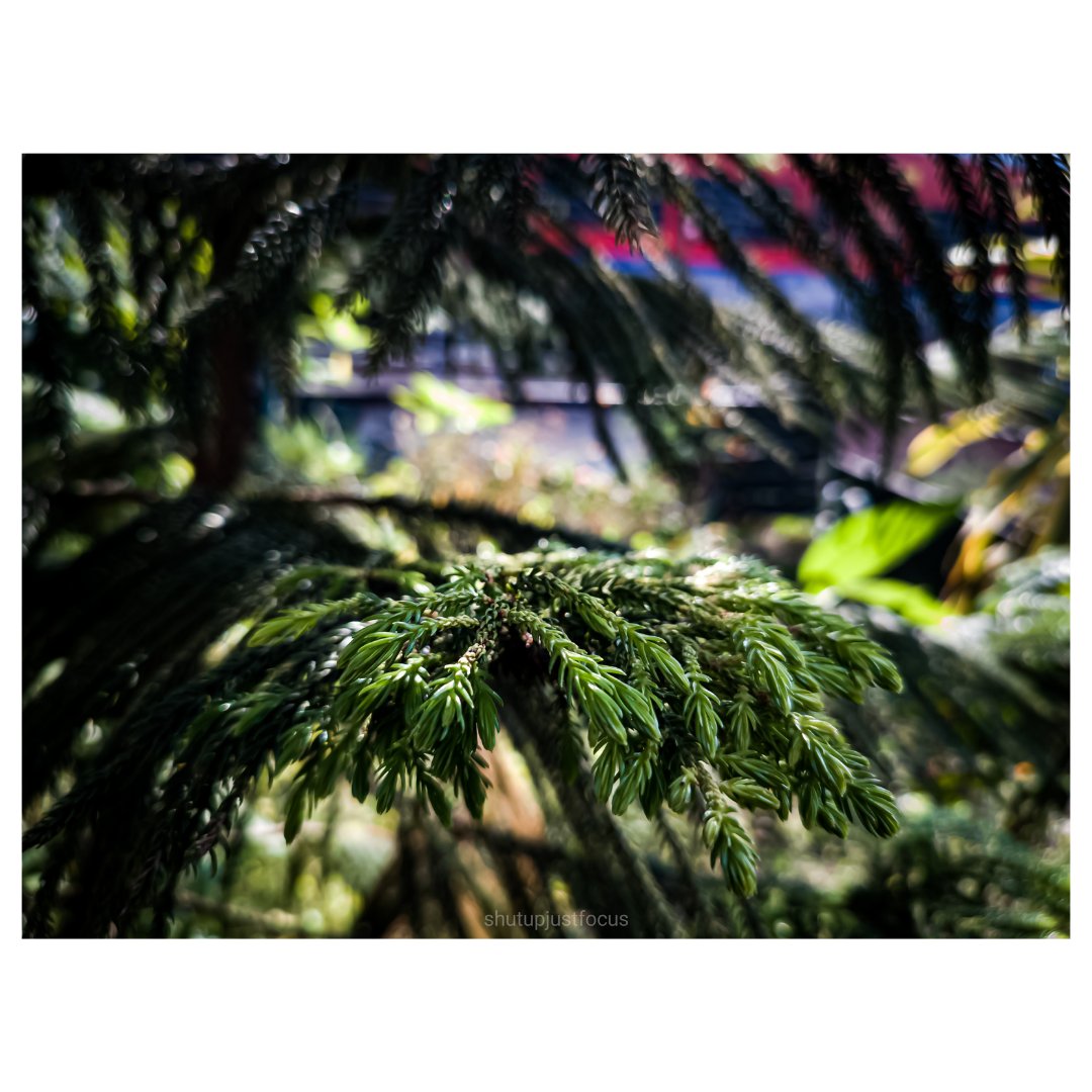 shutupjustfocus's tweet photo. The textures

https://t.co/0YnH3FW9Tz

#photography #photograph #photo #scenary #scenarypictures #photographylovers #godrays #patterns #patternseverywhere #portrait #portraitphotography #portraits #portraitphotographer #sunset #sunsetphotography #sunsetlovers #sunsets #sunrise https://t.co/C4CKg9ex81