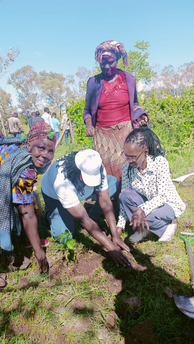 nibcent's tweet photo. We have to be part of the solution; planting trees is one way we are able to adapt to the effects of #ClimateChange
#5BTREESKE
#Trees4future
#Sustainability
#TreeInAction
#PACJA
#Sustainability https://t.co/mDR62eZt2j