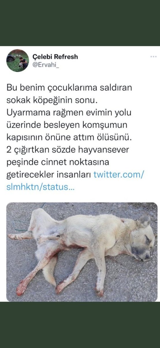 Kedyy_11's tweet photo. @AvGulcinYapici https://t.co/o5DpeOlwTD