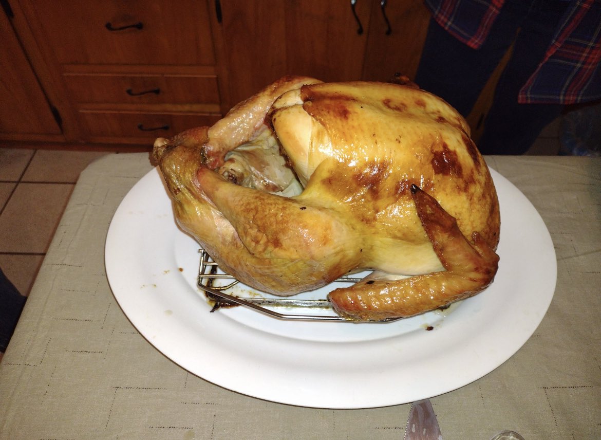 ptajennifer's tweet photo. This years bird https://t.co/5DwQDrAY13
