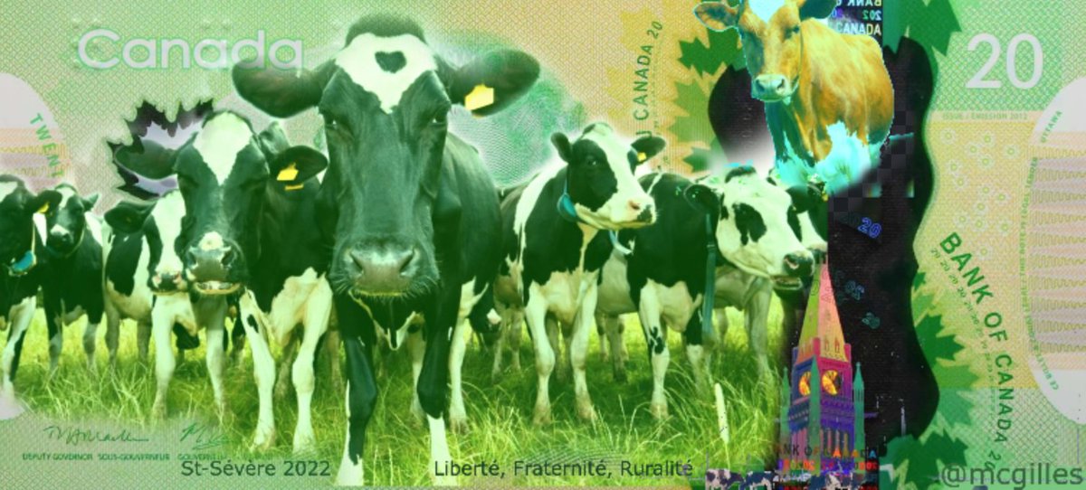 mcgilles's tweet photo. Ma proposition de nouveaux 20$

St-Sévère 2022
Liberté, Fraternité, Ruralité https://t.co/2KQU1YkSip