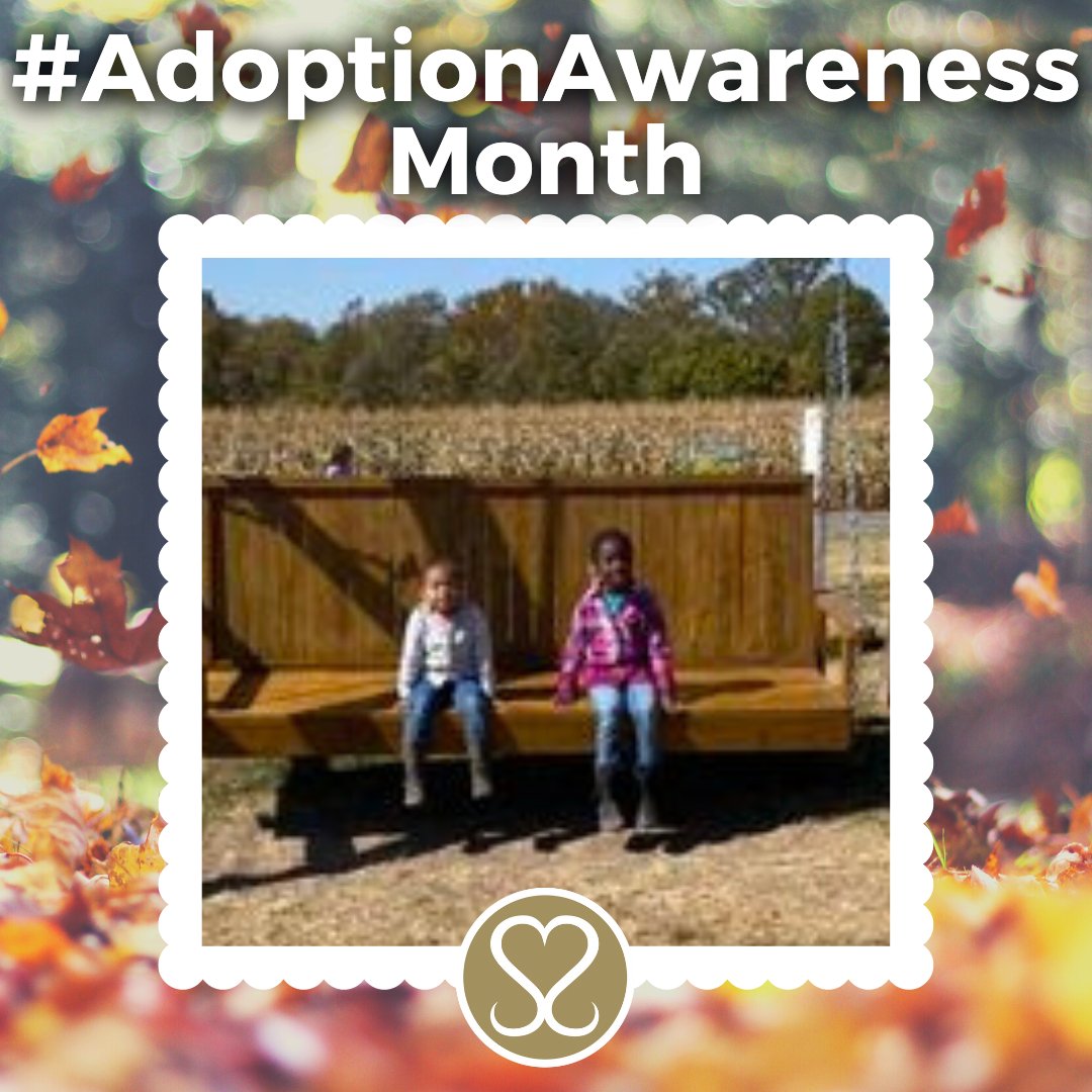 Sacred Selections tweet media