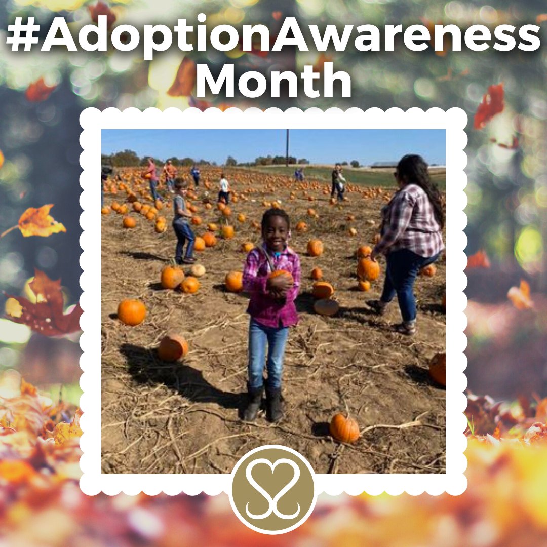 Sacred Selections tweet media