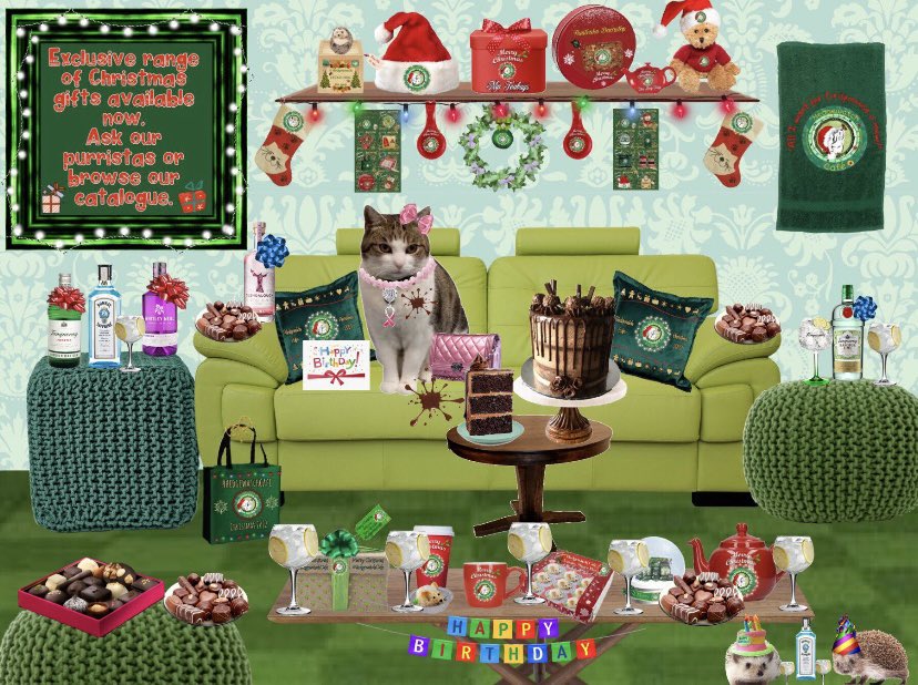 Hedgewatchers's tweet photo. Cilla has brought a birthday card and gifts from the #hedgewatchcafe crew for her human staff as it’s her birthday on Monday! She works so hard behind the scenes to make costumes and menus each week! What would we do without her! Happy Birthday! 🎉🥳#Hedgewatch https://t.co/a04l29nEoB