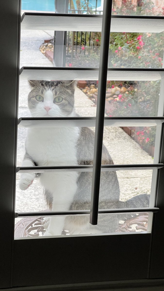 realBradStaggs's tweet photo. #DocKitty says he was framed. https://t.co/9Lg0bjlFYs