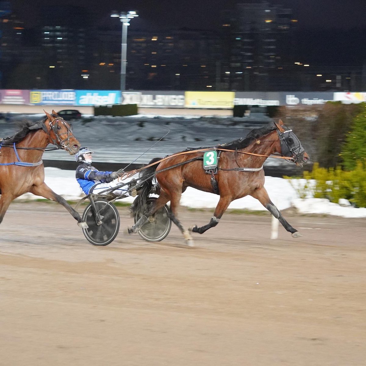 Solvalla's tweet photo. Zeb Jonasson byter rygg ledaren mot dödens varvet kvar och vinner Wången Cup - Guldklockan 2022 Försök - med Josefine Ivehag-tränade Lasses Tara.
Gerhard Lindén är både ägare och uppfödare.
Stort grattis!
 
#solvalla #häst #hästar #travsport #harnessracing #trot #hest #v75 https://t.co/RQoSr0tcRu