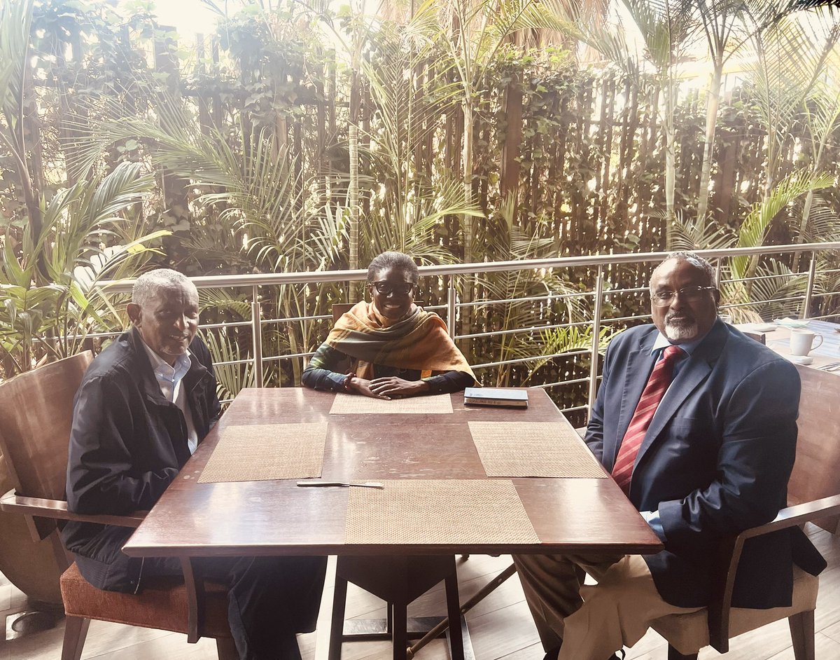With 2 of the most knowledgeable people in the Region: SRSG Kiki Gbeho @Kikigbeho & Amb. Mahboub Maalim @amb_mahboub ES (fmr) of IGAD. Exchanged ideas on the stabilization and reconciliation efforts after the fight against the AS, & the Regional impact of the fight. Illuminating!