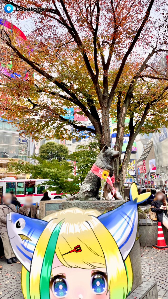 vegetarian_a's tweet photo. とさちちゃんと渋谷から表参道までデートしてきた
待ち合わせ🐶
とさちちゃんがわいわいしてたふかふかの地面
突然の芸術
ゴール https://t.co/6gz1qSwjGD