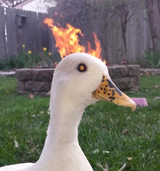 its fine 
