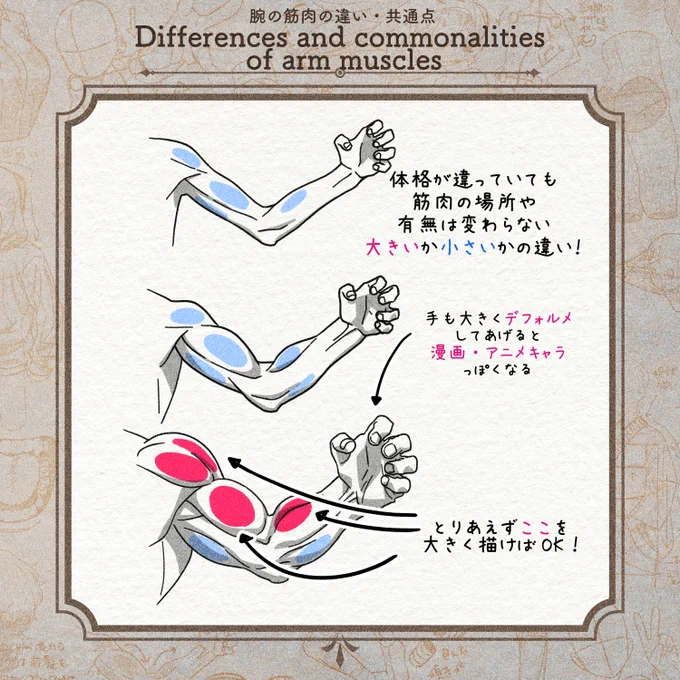 知っておくと得をする骨格・筋肉について第二弾を有料記事でまとめました!For the time being, we have compiled a paid article about skeletons and muscles (part 2) that are beneficial to know!▼FANBOX(日本語)
https://t.co/fx9iXJZsqH
▼Patreon(English)
https://t.co/BGRhjRnCON 