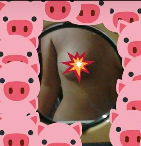 sofi_Ass's tweet photo. Quien quiera jugar con mis senos que me escriba al privado 😏 https://t.co/QaVuMsV2yY