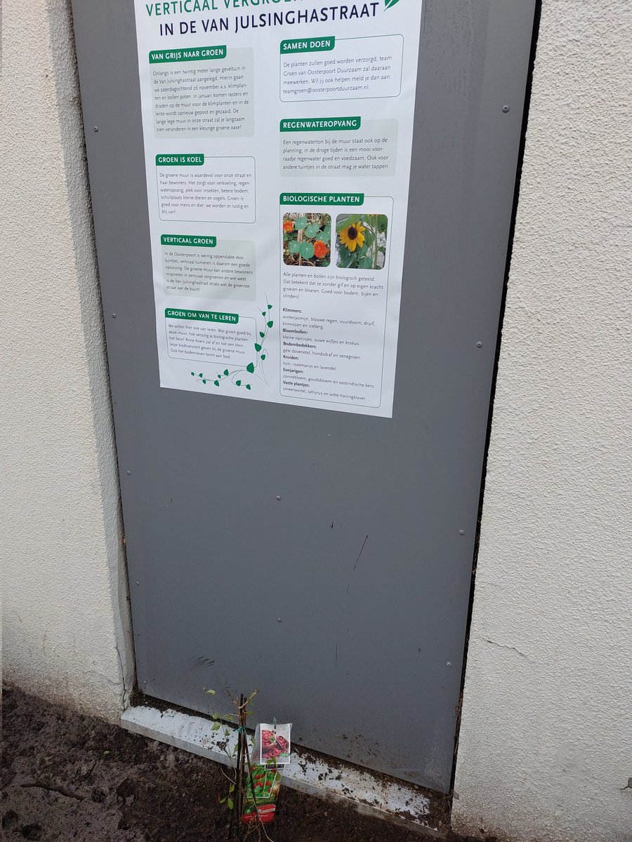 Martijnvdglas's tweet photo. En hoppa wéér een wijk die een stukje klimaatbestendiger is geworden dankzij de #wijkklimaatambassadeurs van de @Oosterpoort050 @duurzaamgroning @NMFGroningen https://t.co/lknElgaKqt