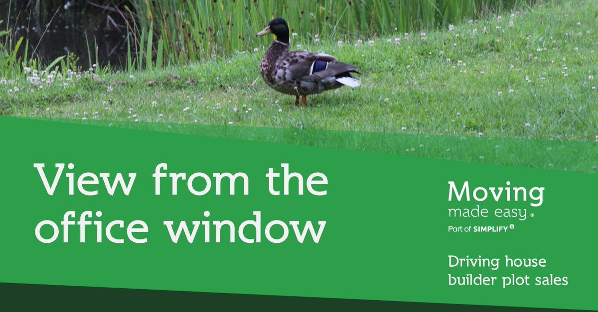 Moving Made Easy tweet media