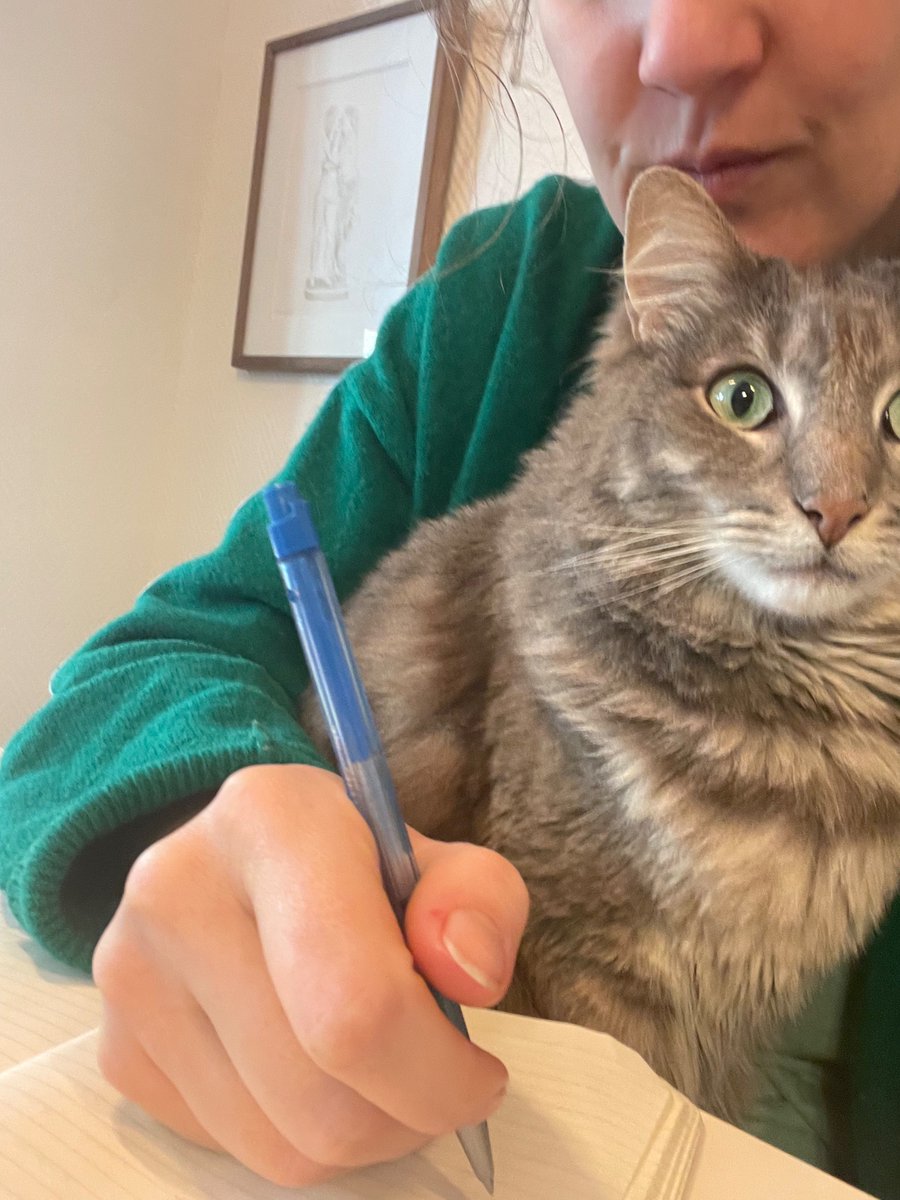 Fransijn's tweet photo. Aan de Marokkaanse kat heb je als geboren Groninger verder weinig #GrootDictee #schrijfie https://t.co/imc62mIhEM