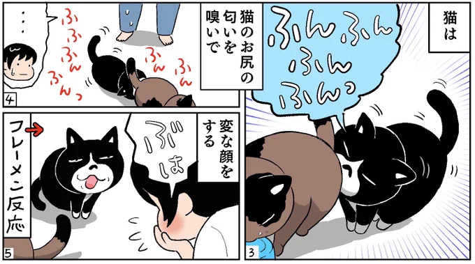 ねこ漫画「サビとハチワレ」第8話「表情」#ねこ新聞#漫画が読めるハッシュタグ #サビ猫 #ハチワレ↓ 