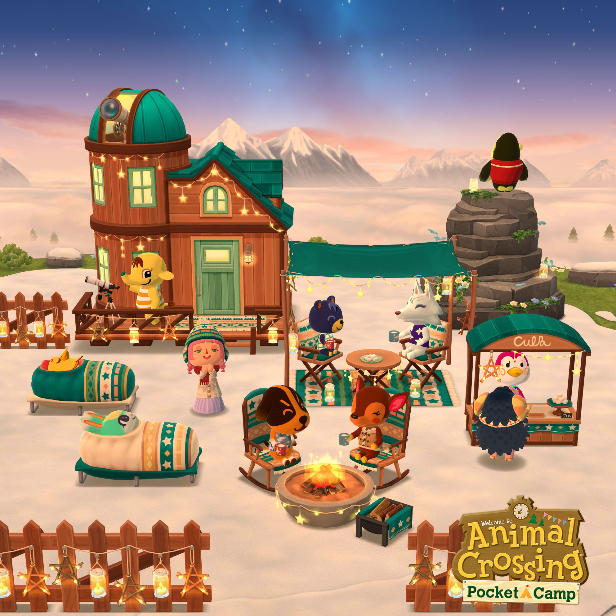 Pocket_camp on Twitter "Tomorrow the meteor shower will finally be here! Look at everyone