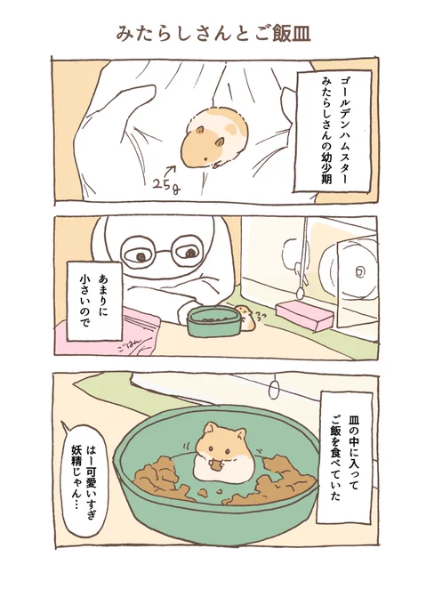 ハムスターとご飯皿
 #ハムスターのいる暮らし 