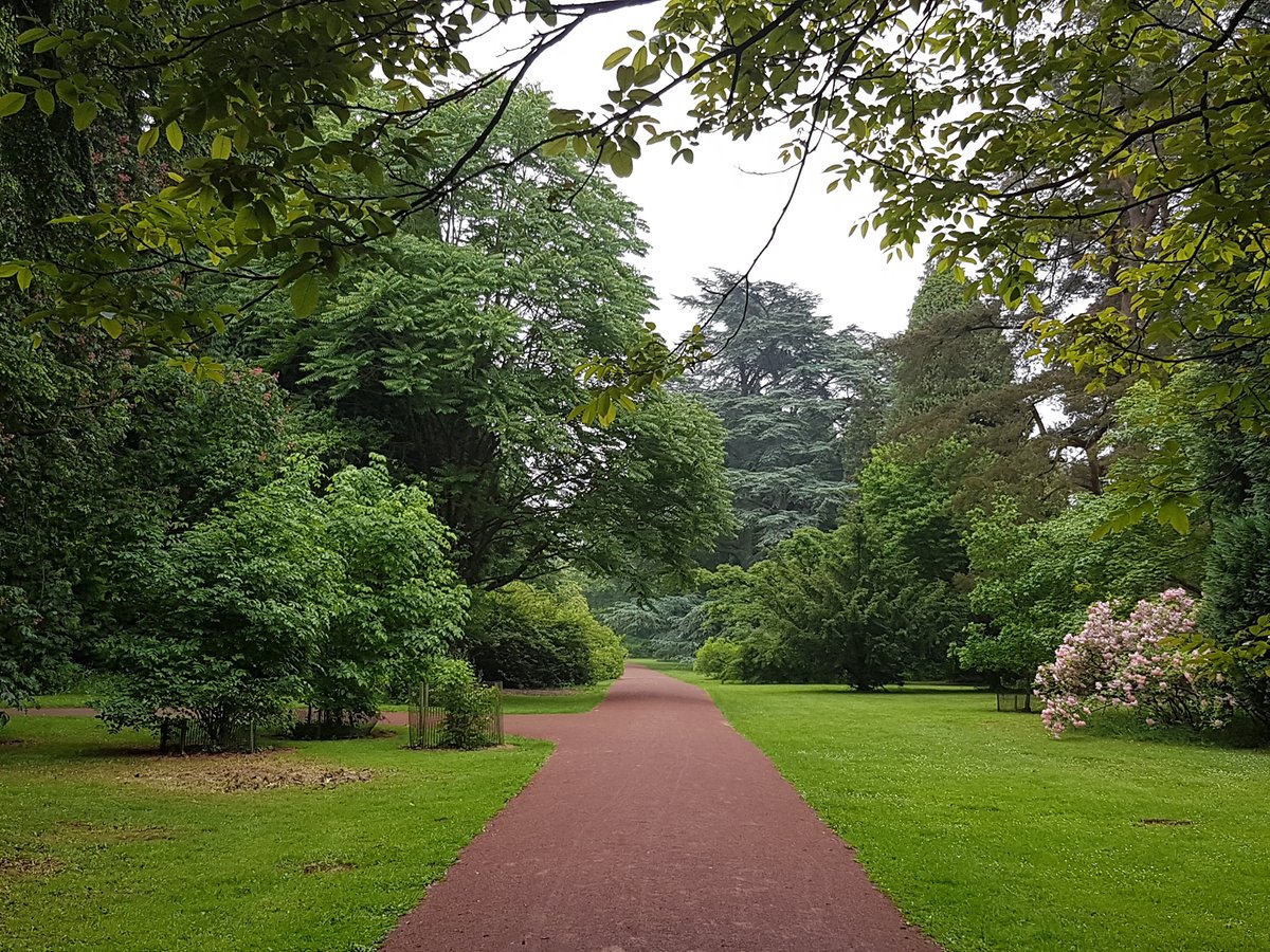 HistoricEngland's tweet photo. This #DisabilityHistoryMonth we're celebrating historic places that have thought of positive ways of making their sites accessible to a range of disabilities.
Read the blog โก๏ธ https://t.co/DmqpN8l8M0...
๐ท @WestonbirtArb @WaddesdonManor @LincolnCastle #DHM22 https://t.co/sUlB8L9DeJ