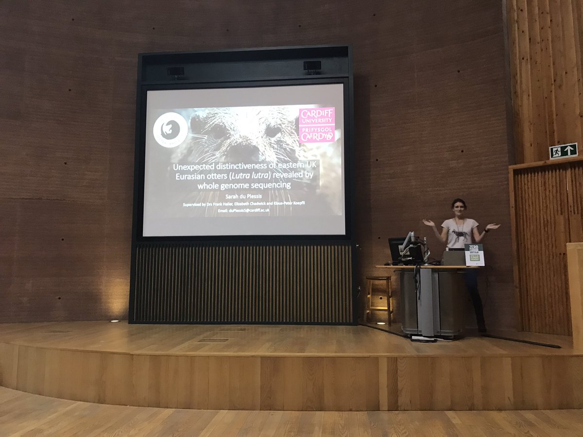 WEEN (@ween_wales) on Twitter photo Our 2nd session is on genetics & biogeography. Starting us off is a talk by <a href="/SarahduPlessi16/">Sarah du Plessis</a> on genome sequencing of Eurasian otters #WEEN22 Our 2nd session is on genetics & biogeography. Starting us off is a talk by <a href="/SarahduPlessi16/">Sarah du Plessis</a> on genome sequencing of Eurasian otters #WEEN22