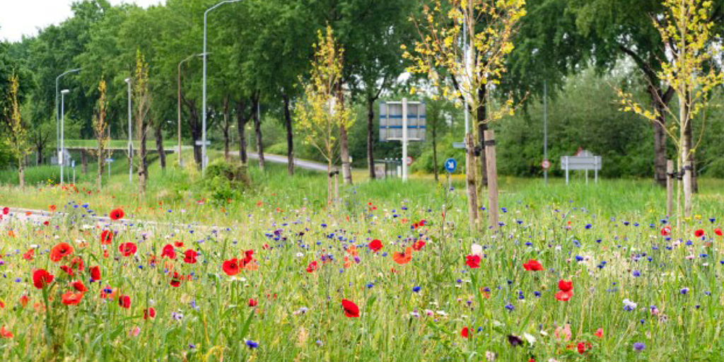 gem_Lelystad's tweet photo. We willen Lelystad groener en natuurrijker maken. Samen met groenpartijen en met jou. Wat vind jij van de natuur in Lelystad en in je eigen achtertuin? En zou je hier iets aan willen veranderen? Ga naar de vragenlijst: 👉 https://t.co/BtOq6bTHvQ
#groenindestad #lelystad https://t.co/oAMLK7QI8J