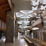 ツイートに含まれる画像