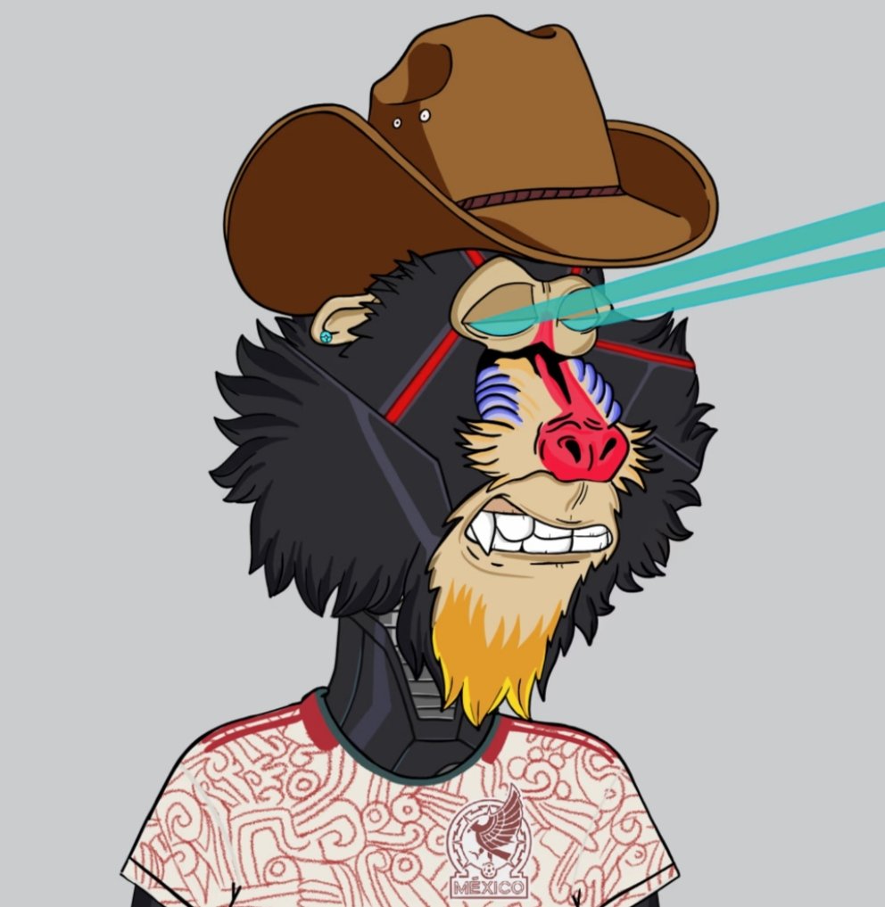 Apefootballcup's tweet image. choose the characteristics of your soccer world cup NFT! Free Mint

@Apefootballcup 

#NFTCommmunity #NFT #nfteth 
@neymarjr