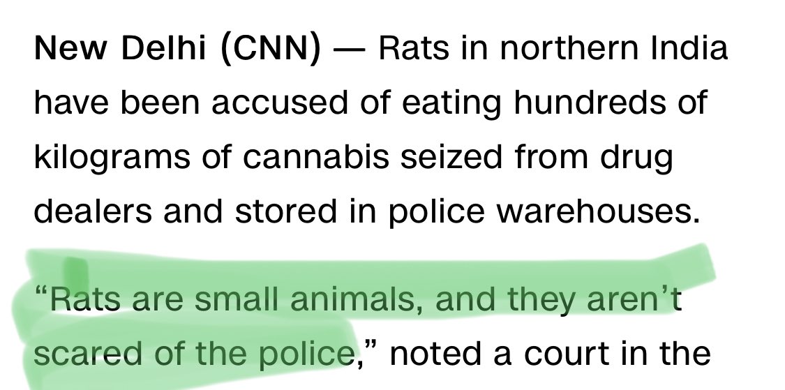 🐀 🎵🎶🎵🐀 tweet media