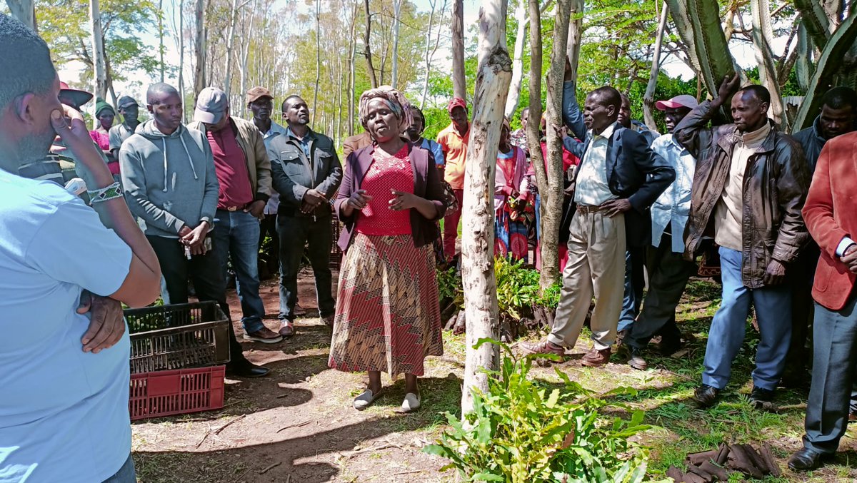 Manuh_Mmoja's tweet image. Each and everyone of us needs to be part of the solution; planting trees is one way we are able to adapt to the effects of climate change. #5BTREESKE #PACJA #Trees4Future @anne_tek
@Environment_Ke @KeForestService