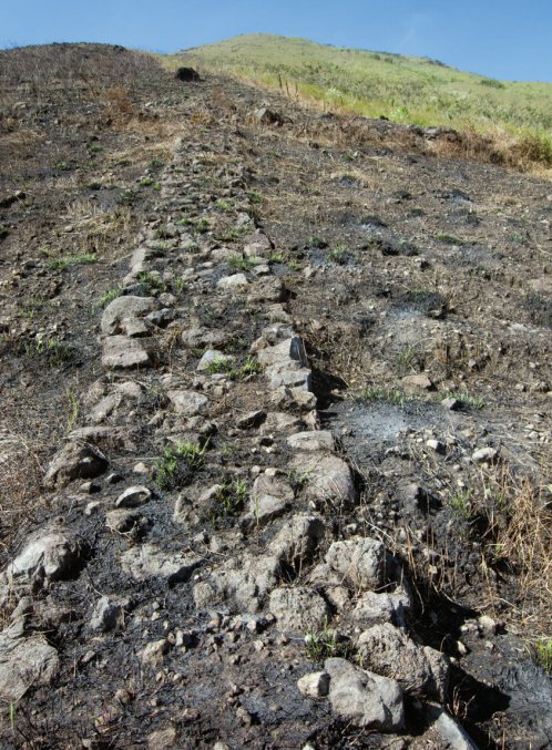 Tim Ekspedisi Ubaya menemukan 'jalur pendakian kuno' yang mengitari Gunung Penanggungan tak lama setelah terjadi kebakaran hutan tujuh tahun lalu. Mahakarya orang² zaman dulu itu untuk mempermudah transportasi logistik ke pertapaan² dan punden berundak di Pawitra