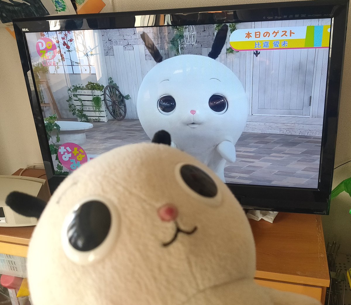 ryenyan_'s tweet photo. なんか見たことあると思ってたら、家にぬいぐるみあった🫣 https://t.co/fwjaPoyBnY