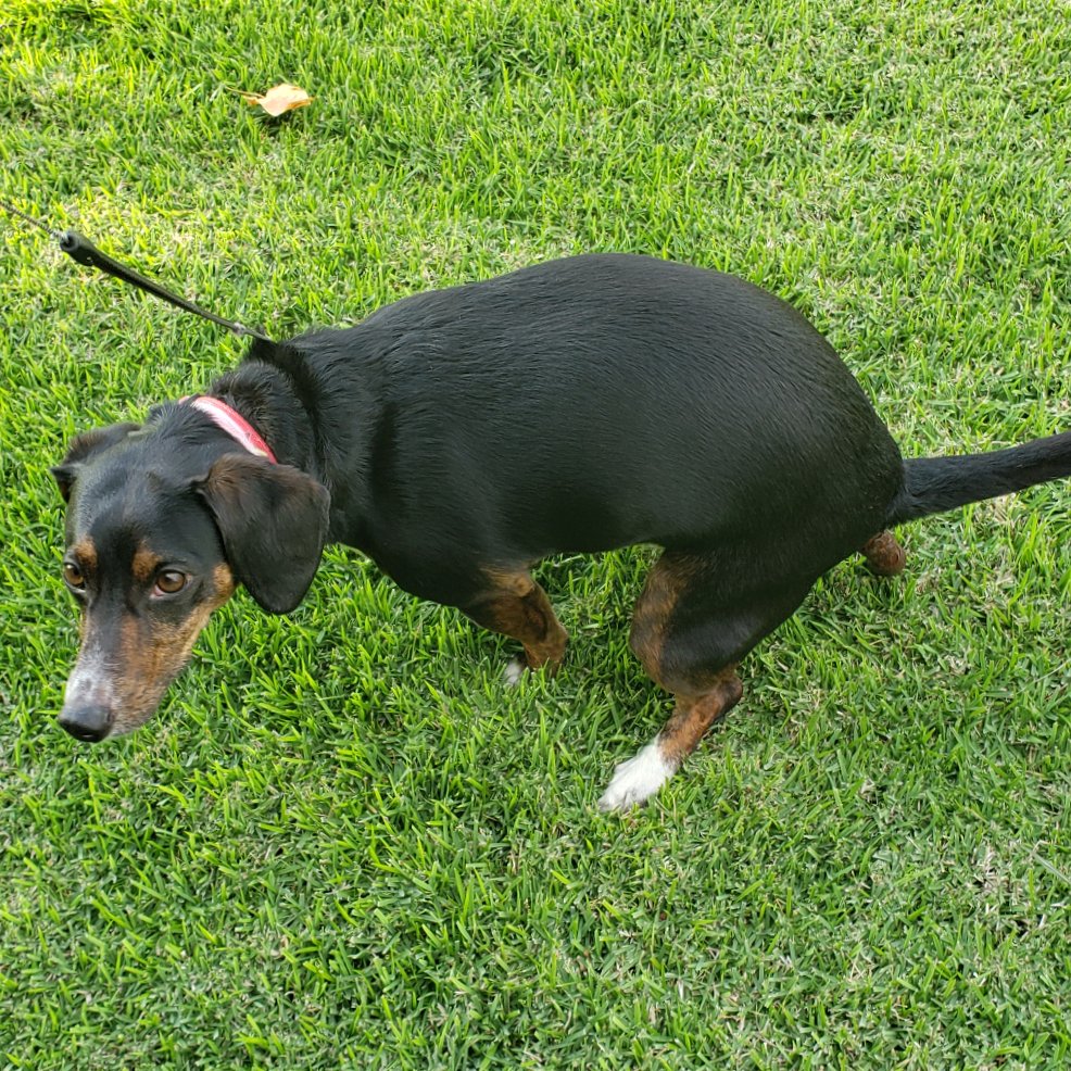 StCrouch17's tweet photo. @UncleChaps @ZeroBlog30 Space Force guy here, wanna play with my weiner? https://t.co/G2ijE4oHW2