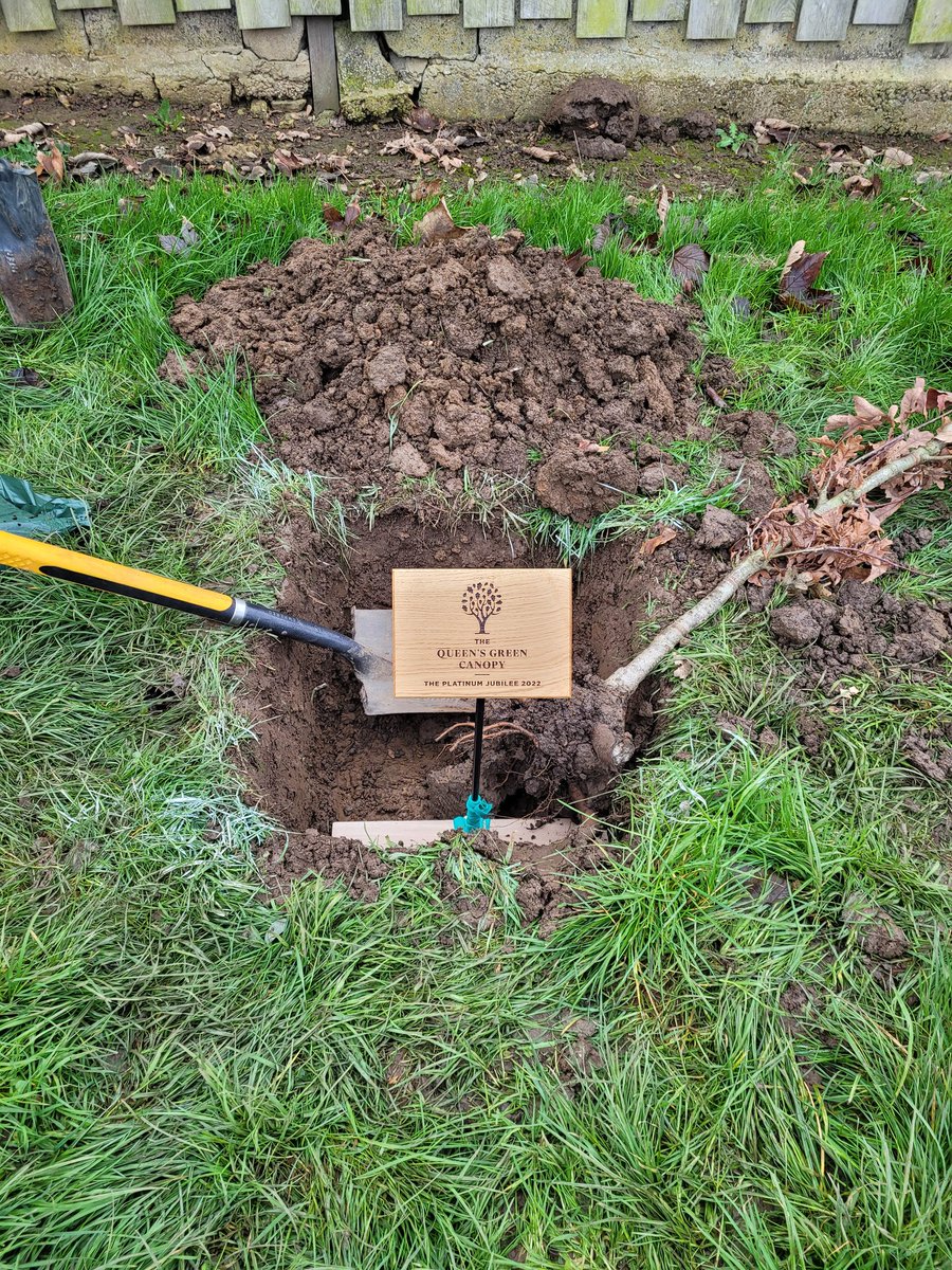 CacfMaj's tweet photo. Something different with our cadets today. Planting 421 trees for the late Queens green canopy event. https://t.co/ePTSvefRPk