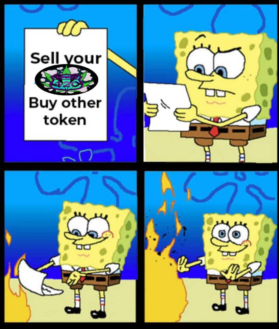 Muhammad_GK_7's tweet photo. @CryptoEmdarks 🌱 Route 420|$420

🌱 Roll It Up, Light It Up, Smoke It Up!

🌱 Locked
🌱 Renounced 
🌱 Based dev team

Chart - https://t.co/Ipz3aRr1rz

🌱 100X +++ potential 

🌱 https://t.co/ItA333Oq3q

🌱@Route420Token

🌱 @iSmeshCrypto @iSmeshCrypto

$ROUTE #Route420 #420army https://t.co/GNYk9tMsRu