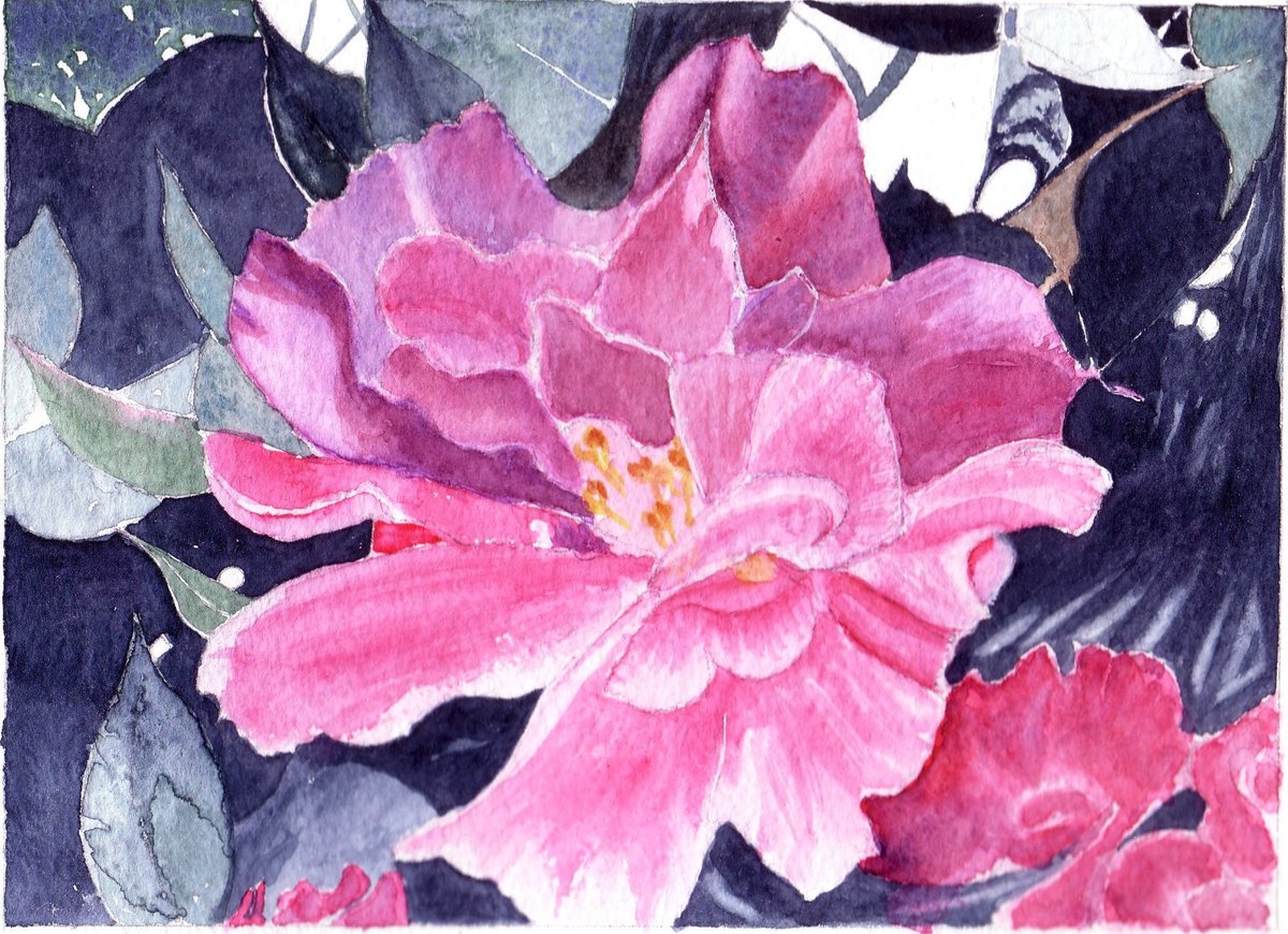 MormorJan's tweet photo. How about a bunch of flowers for a Stocking Filler? #UKGiftAM Pink Rhododendron Handmade Watercolour Card https://t.co/w1Z8eI1hhA #stockingfillersday #TMTinsta #MHHSBD @TheCraftersUK
#ShopIndie https://t.co/95pOA7Bvic
