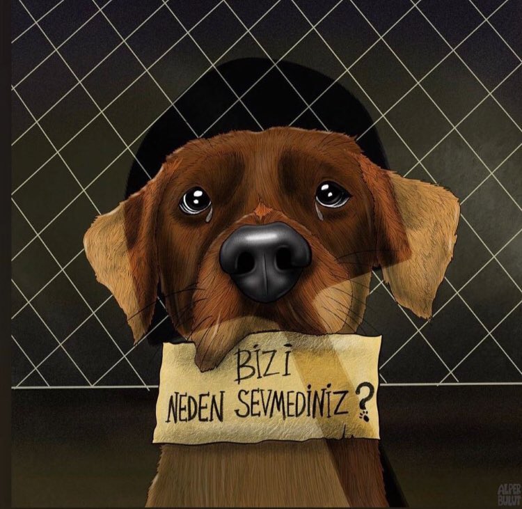 Ülkemizde kadına, hayvana ve doğaya saygı kalmamıştır. 
Bu ülkede <a href="/Konyabuyuksehir/">Konya Büyükşehir Belediyesi 🇹🇷</a> personeli bir köpeği kürekle canice öldürmüştür. 
Cumhurbaşkanından ve hiçbir bakandan ses çıkmamıştır. Çok yanlış zamana denk geldik, çok! #Konyadakatliamvar #CumhurbaskanıKonyaBarınağına