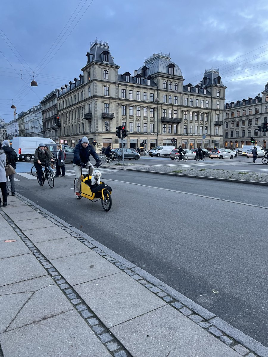 mich_ochsner's tweet photo. Yesterday we took our students from our Urban Infrastructure Design course to Copenhagen to observe cycling infrastructure and traffic flows. Looking forward to seeing how the students use the inspiration in their own work to redesign a street in Lund! https://t.co/2SWk7ex8xT