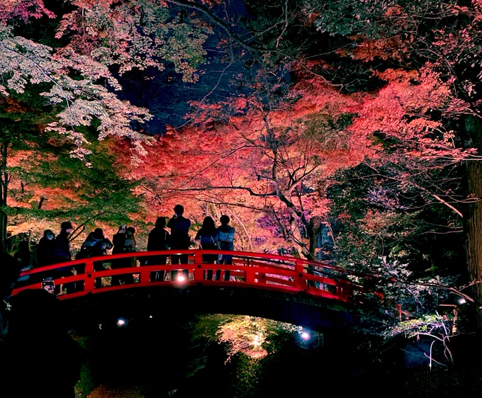 Kyoto in Autumn  