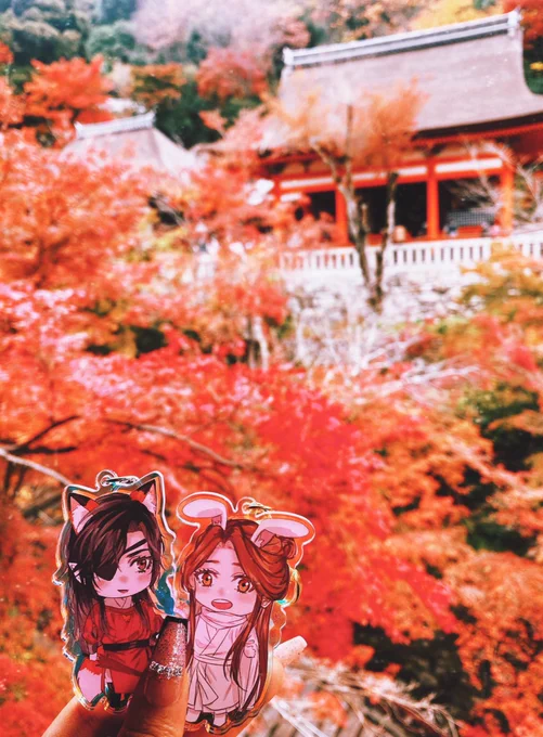 Kyoto in Autumn  