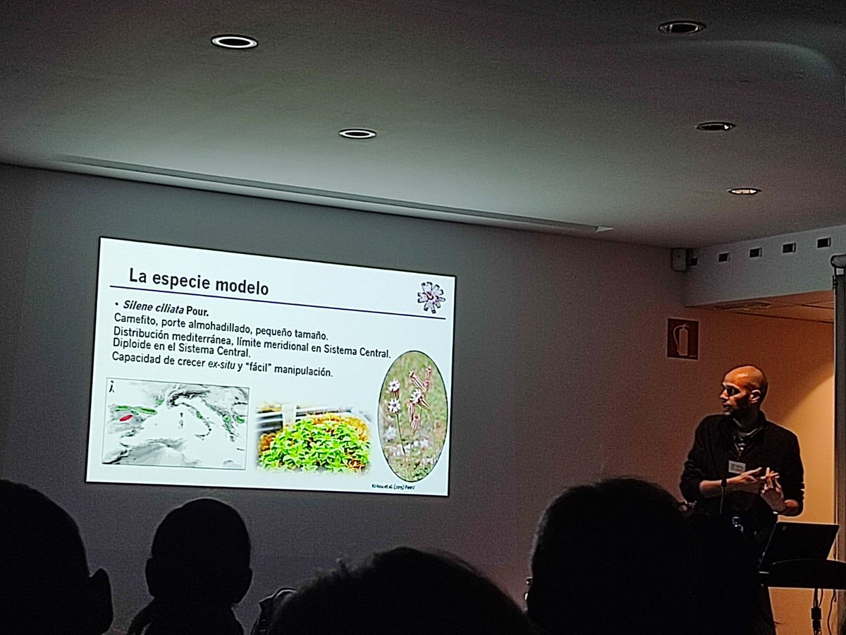 IBB_botanic's tweet photo. Alfredo García Fernández (@Alfxl) de la Universidad Rey Juan Carlos (@urjc) nos ha hablado sobre las plantas de montaña en escenarios eco-evolutivos ¡Una gran charla!
#IIISimBot https://t.co/lpEgS6urBT