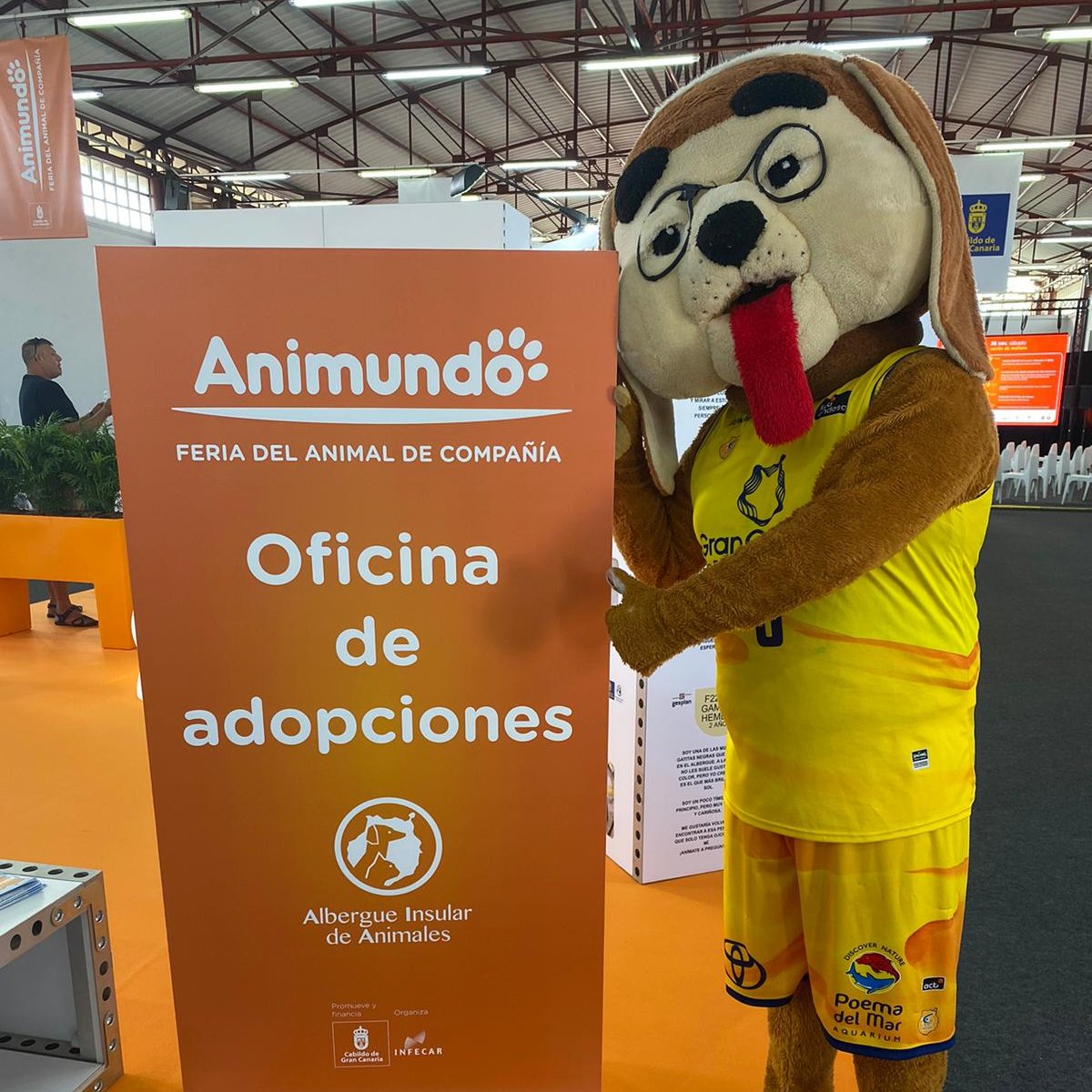 GranCanariaCB's tweet image. 🐶 Hoy tenemos a nuestro @granky_ en la primera jornada de #Animundo en @infecar.

👋 A las 12:15 horas está programada la primera pasarela de adopción. Si quieres tener un amigo fiel como Granky, ¡ven a Animundo!