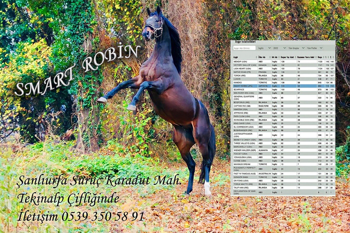 fırat tekinalp (@f_tekinalp) on Twitter photo 