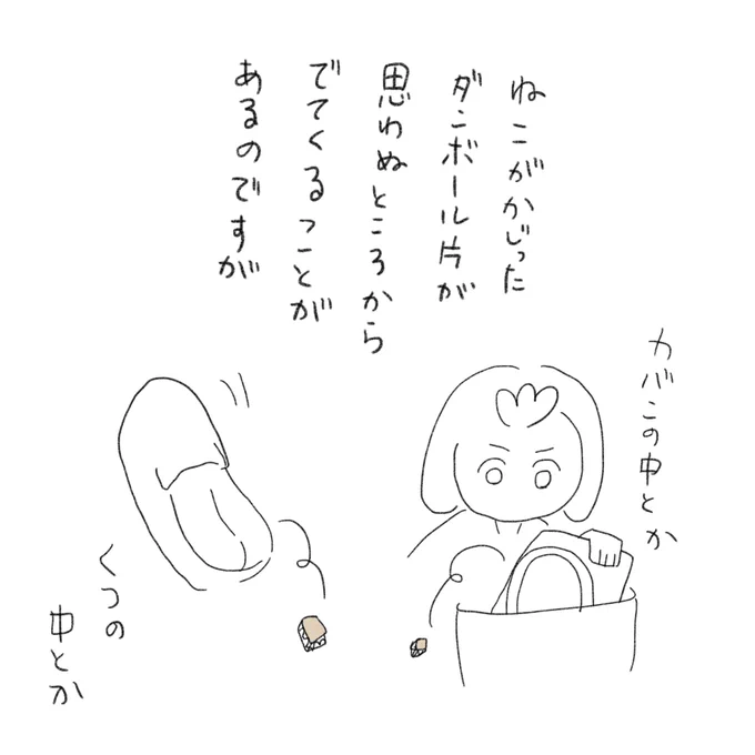 齧ったあとのダンボールの行方といえばですね 