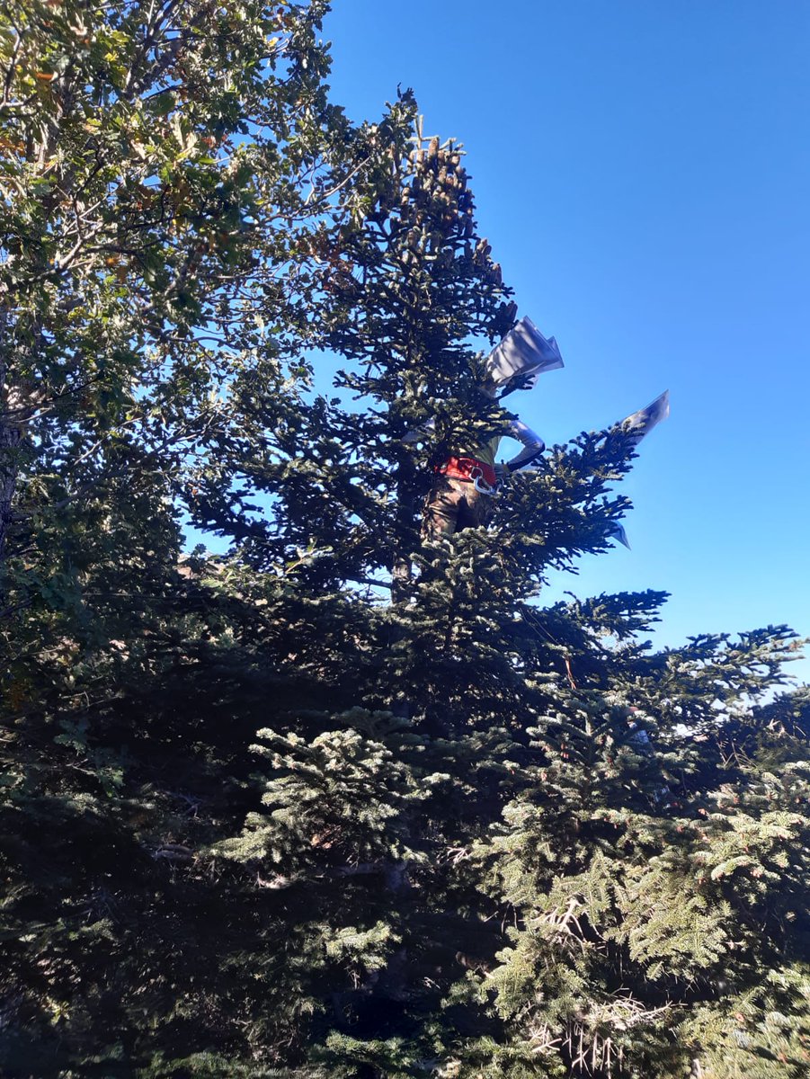 life4fir tweet media