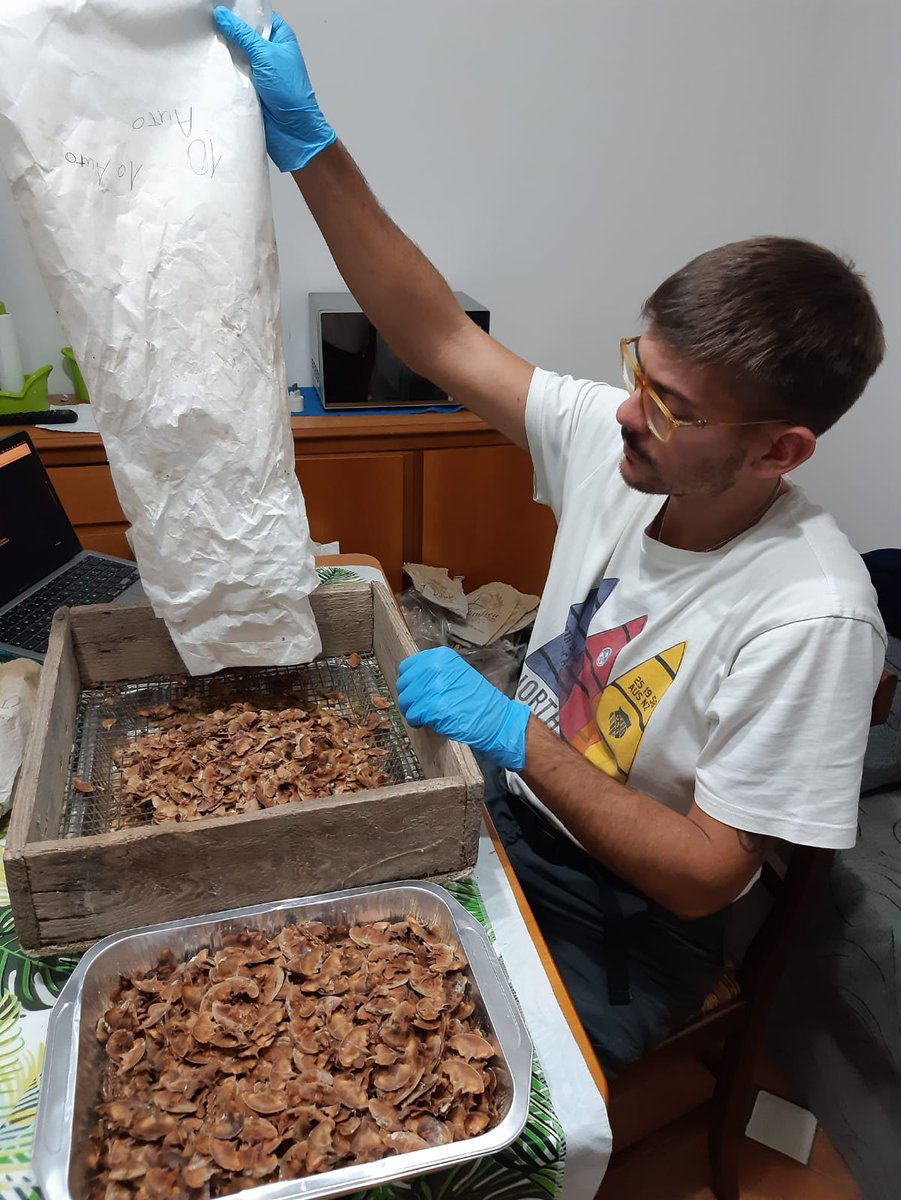 life4fir tweet media