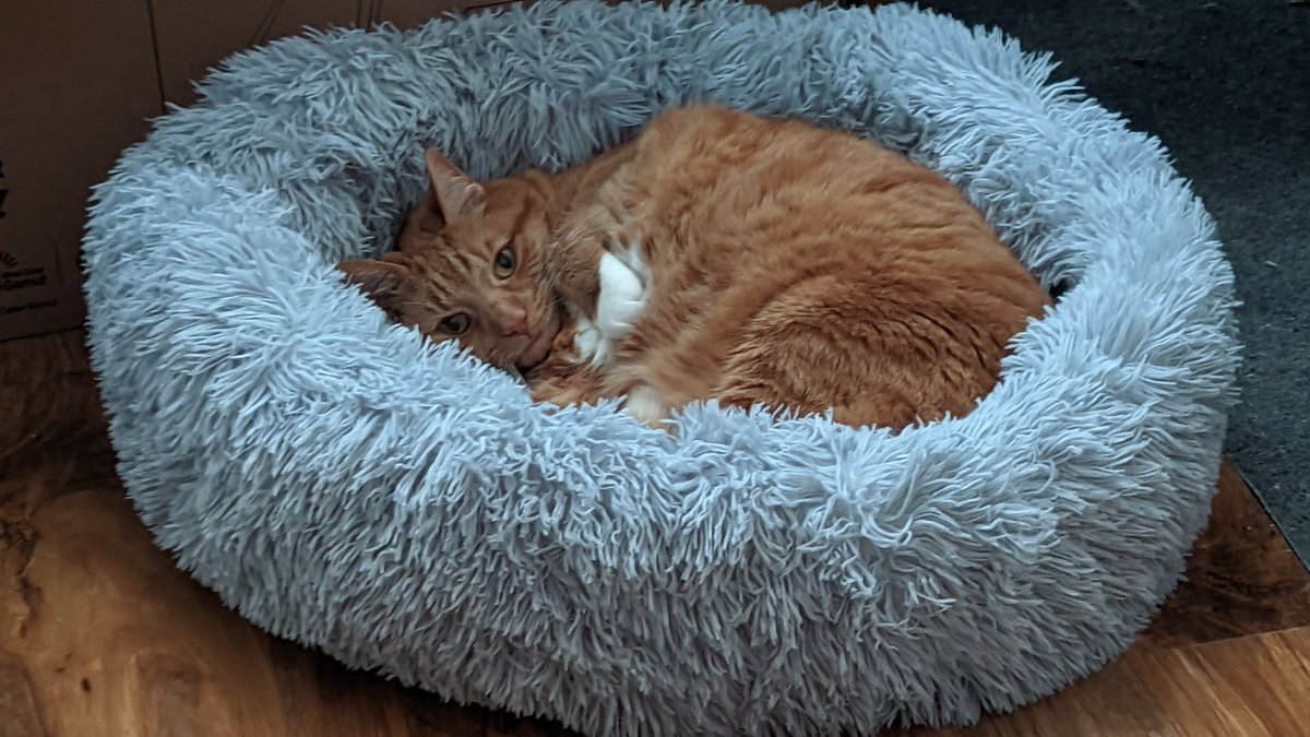 von_b's tweet photo. Mother, my donut is a safe space. No paparazzi allowed. #dailypebbles https://t.co/SD6j0XPsGH