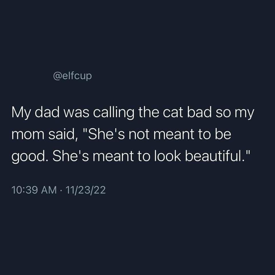 Ha! #Caturday #CatsOnTwitter #izmirdeprem #LateLateShow