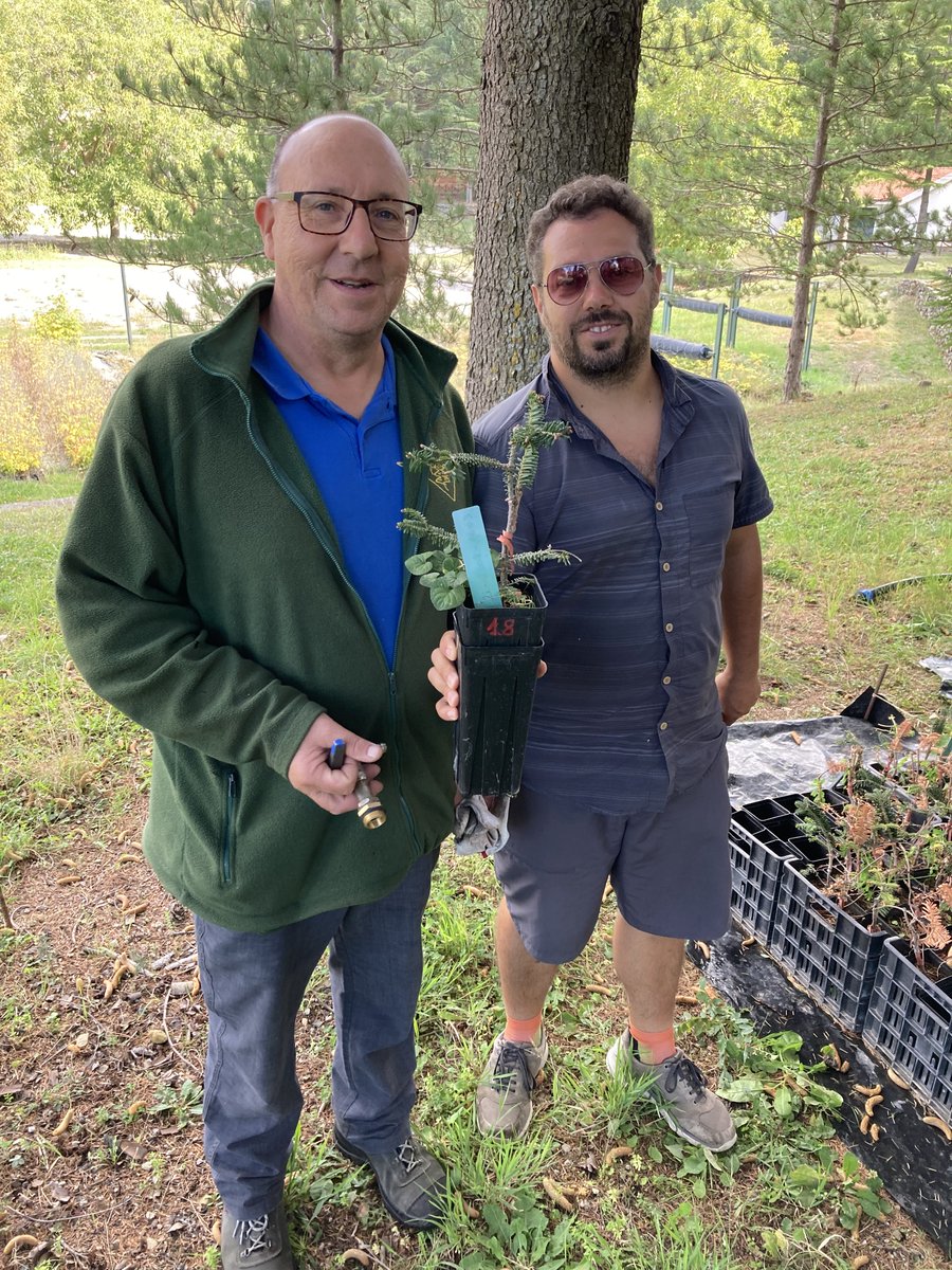 life4fir tweet media